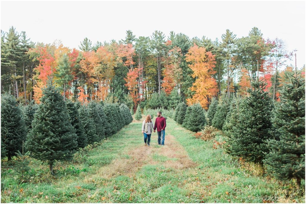 Christmas Tree Farm Engagement Session Litchfield, New Hampshire